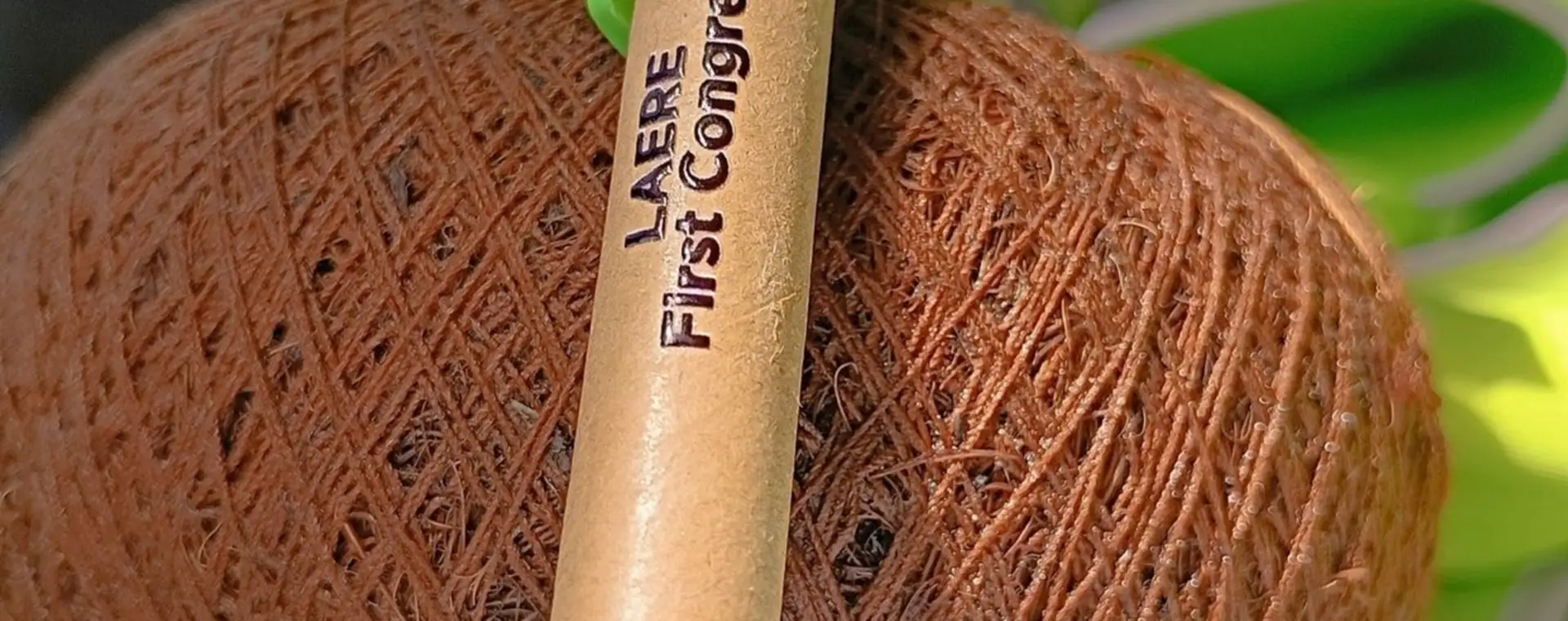 Bolígrafo de cartón kraft personalizado junto a una matera de fibra de coco